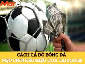 Cách Cá Độ Bóng Đá